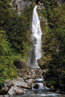 Waterfall cascading over steep rock face in wooded gorge, surrounded by southern false beech