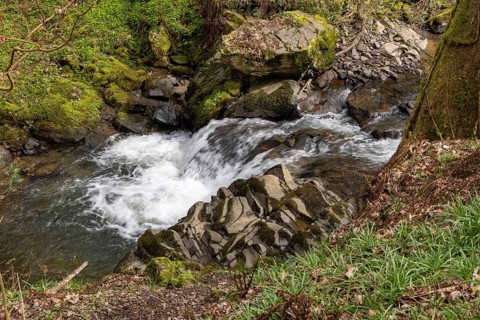 Rapids, Stream, Melincourt Waterfalls Nature Reserve, Melincourt, Neath, Wales, Great Britain