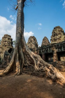 Ta Prohm, Angkor Wat, Angkor, UNESCO World Heritage Site, Siem Reap, Cambodia, Indochina, Southeast