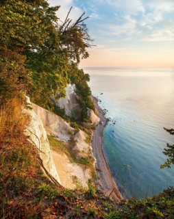 View from the high shore of the chalk cliffs on the Baltic Sea in the morning light, beech trees on
