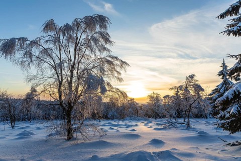 Winter landscape with snow-covered trees and branches covered with hoarfrost on the