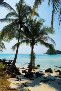 Sandy beach beach with coconut palms, Haad Khlong Hin Beach, Koh Kood, Koh Kut, Gulf of Thailand,