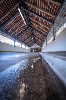 Interior photograph of a corridor with wooden beam ceiling and incidence of light in an industrial