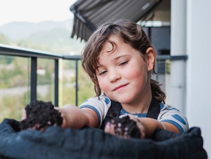 A young girl holds rich garden soil in her hands while playing outdoors, showcasing early education