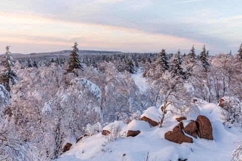 View from Großer Lugstein of the winter landscape with snow-covered trees and branches covered with