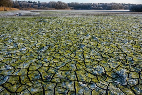 Winter hoarfrost at Ahlhorn fish ponds, Ahlhorn fish ponds, Ahlhorn, Lower Saxony, Germany