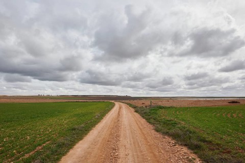 A winding dirt road stretches through expansive farmland under a dramatic, cloudy sky. The vibrant