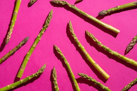 Fresh asparagus spears are artfully arranged on a vibrant pink background, creating a striking