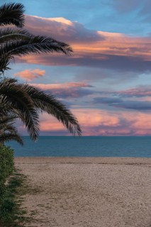 A peaceful scene from Marche, Italy, featuring a serene beach at sunset. Silhouetted palm fronds