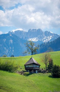 A quintessential Swiss landscape in spring, featuring a chalet in Jaun, Gruyere with the rugged