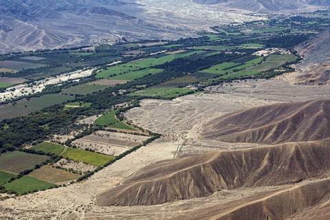 Colourful agricultural plots contrasting with bare desert mountains, the desert landscape near