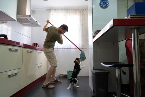 A man mops the floor in a modern kitchen, engaging with a playful dog. The cheerful scene captures