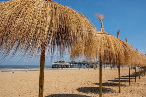 A row of raffia parasols on the beach at Scheveningen in the Netherlands