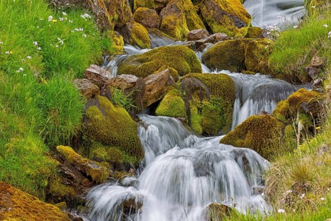 Waterfall, stream, moss, stones, small waterfalls, Iceland, Hnjótur, Vestfirðir, Iceland