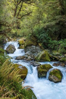 Landscape in New Zealand with river and forest. Waterfalls Marian Falls, Fiordland National Park,