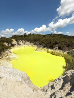 Yellow lake on the Waiotapu Thermal Track in the colourful geothermal area of Waiotapu Thermal