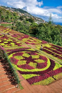 Flowerbeds planted as a pattern, Botanical Garden, Jardim Botanico, Funchal, Madeira, Portugal