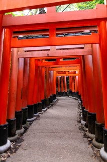 Serene image of the iconic red torii gate nestled in the lush forest of Fushimi Inari-taisha, Kyoto