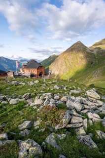 Mountain hut Lasörlinghütte in the evening light, mountain landscape with alpine roses,
