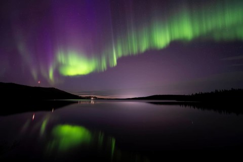 Northern Lights (Aurora borealis) reflected in a forest lake, Gällivare, Norrbotten, Lapland,