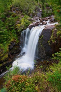 Strong water flows over rocks surrounded by thick green vegetation, Victoria Falls, Slattadale,