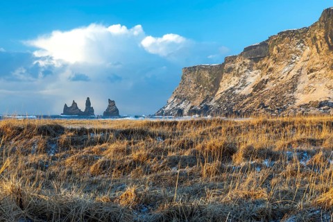 Reynisdrangar needles, rotten grass, rock, waves, sea, clouds, winter, Vik, Iceland, Scandinavia