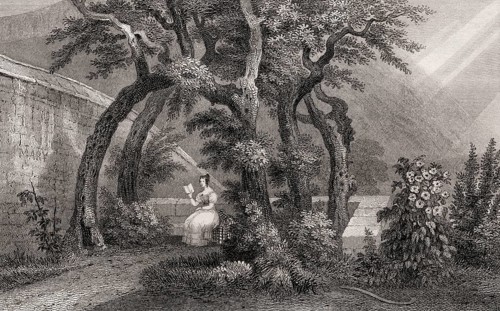 An Arbour in Regent Murray's Garden, or Queen Mary's Bower, Canongate, Edinburgh, Scotland, 19th