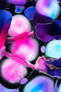 Colorful abstract art featuring vibrant pink, blue, and purple fluid shapes. This expressive piece
