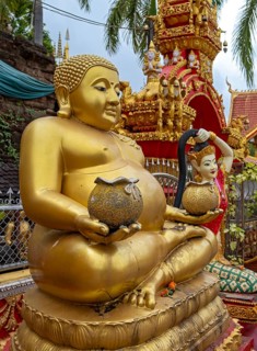 Buddha statue, Wat Si Muang, Vientiane, Laos