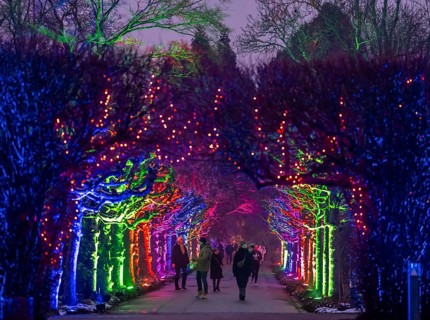 Park lights, events in winter, in the Grugapark in Essen, many different light installations,