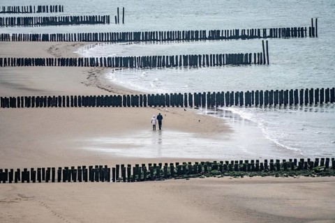 Coastal protection, through wooden posts, paalhoofden, on the beach, breakwater, the piles, some of