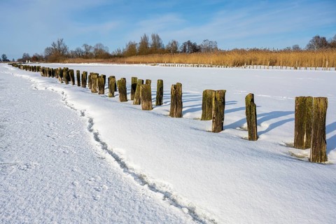 Winter at Dümmer, on ice, Eickhöpen, Lembruch, Lower Saxony, Germany