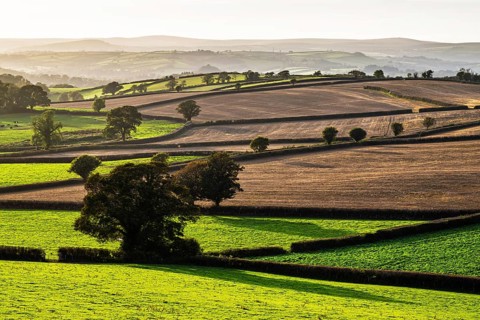 Colours of Devon Farms and Fields over Paignton and Berry Pomeroy, Totnes, England, United Kingdom