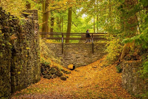 Altzella Abbey is a former Cistercian abbey west of the town of Nossen. In the Middle Ages, it was