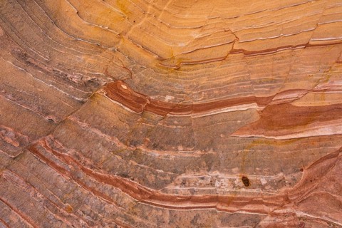 Close-up image of sandstone showcasing intricate layers with earthy tones. The abstract patterns