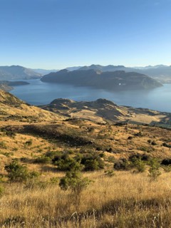 Hiking trail to Roys Peak Lookout, Lake Wanaka, Wanaka, South Island, New Zealand, Oceania