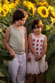Two young children in summer outfits stand amidst a vibrant sunflower field. Sunlight casts a warm