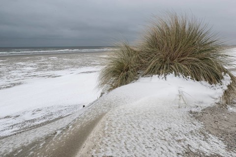 Snow-covered dunes on the North Sea, Langeoog, Lower Saxony, Germany