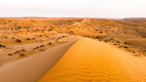 Sand dunes in the Wahiba Sands desert, Oman