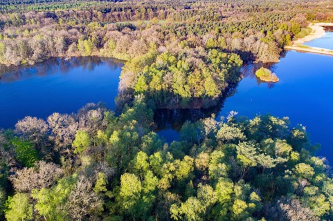 Aerial view of Ahlhorn fish ponds, autumnal, pond, lake, Lower Saxony State Forests, Ahlhorn, Lower