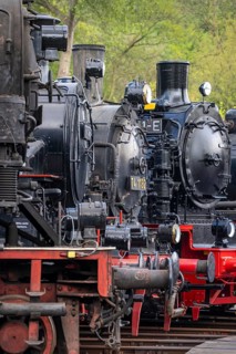 Ring locomotive shed with many historic steam locomotives in the Bochum Railway Museum, museum days