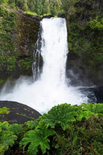 Salto Huilo Huilo waterfall cascades over dark basalt rocks into pools surrounded by Nantu leaves