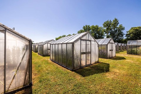 Mini greenhouses at the Leibniz Institute of Plant Genetics and Crop Plant Research IPK
