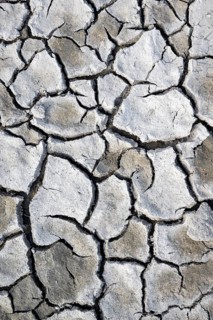 Cracked earth, heavily dried out Darscho or Warmsee, Lake Neusiedl-Seewinkel National Park,