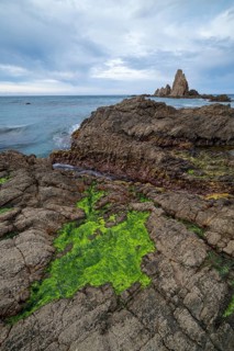Rocky coast, Cabo de Gata-Nijar Natural Park, Almeria, Andalusia, Spain