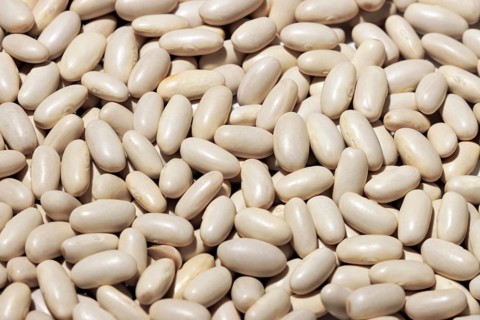 A high-resolution image showing a dense spread of white beans, filling the entire frame with their