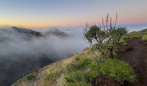 Sunrise at Pico do Arieiro, clouds of fog sweep over mountain peaks, sea of fog, hiking trail PR1,