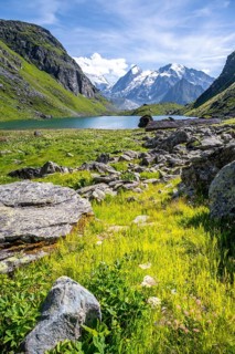 Mountain lake Lac de Louvie with glaciated summit of the Grand Combin, Val de Bagnes, Valais,