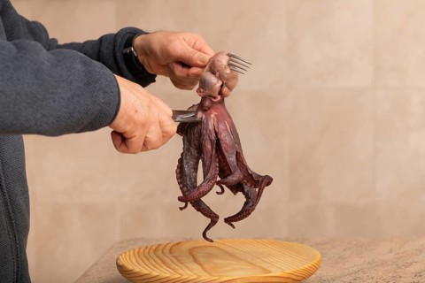 A man prepares a fresh octopus in the kitchen using a fork and scissors over a wooden cutting board
