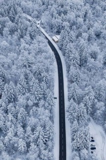 Snowy road snaking through a thick winter forest, Gechingen, Calw district, Germany